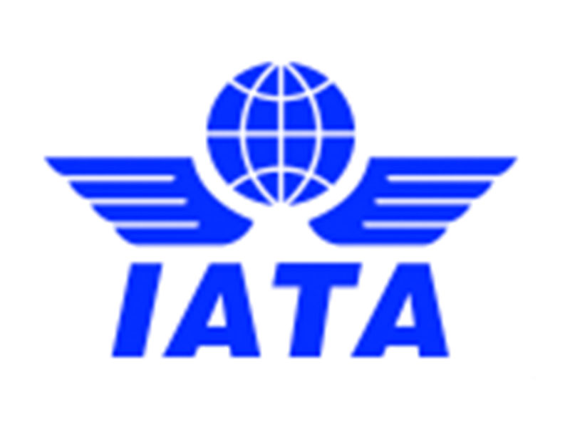 partner_0003_IATA